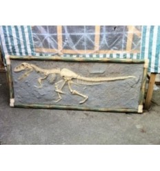 DINOSAUR T-REX SKELETON