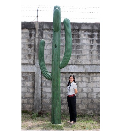 CACTUS GIGANTE