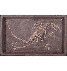 ANIMAL DINOSAUR VELOCIRAPTOR DIG (NOT IN AUS)***NEW