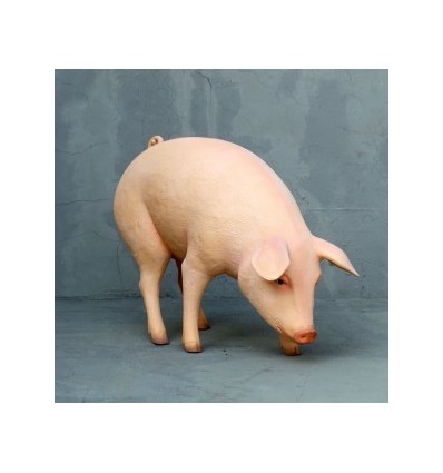 CERDO
