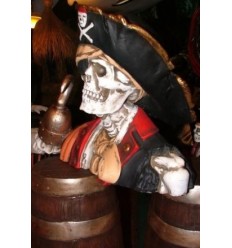SKULL HEAD - CAPTAIN HOOK