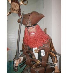 PIRATE REDBEARD