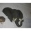 CABEZA ELEFANTE