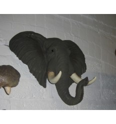 CABEZA ELEFANTE