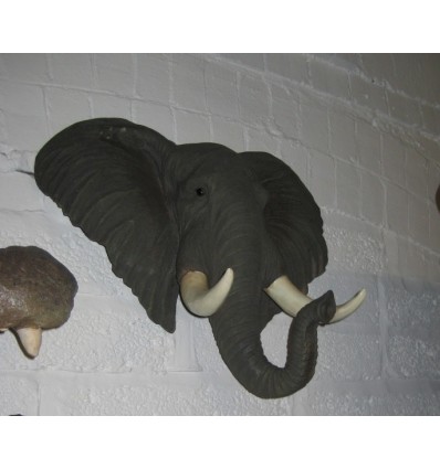 CABEZA ELEFANTE
