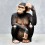 CHIMPANCE SENTADO