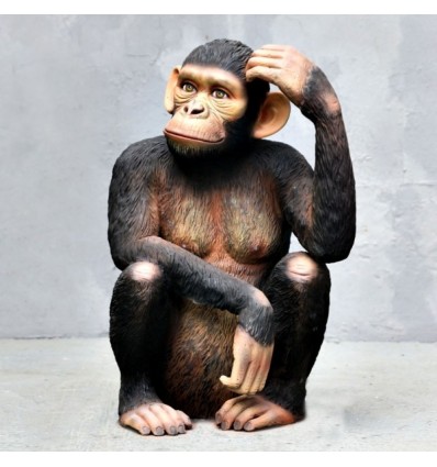 CHIMPANCE SENTADO