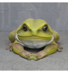 RANA GIGANTE