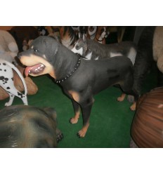 PERRO ROTWEILER