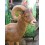 figura animal salvaje