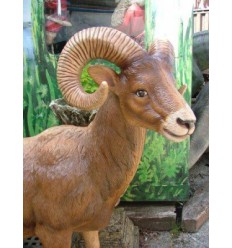 MUFLON