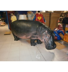HIPPOPOTAMO