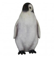 BREEDING PENGUIN