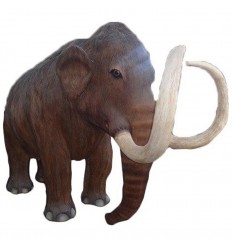 ADULT MAMMOTH
