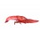 LOBSTER GIANT