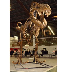 T-REX SKELETON