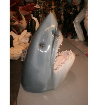 CABEZA TIBURON GRIS