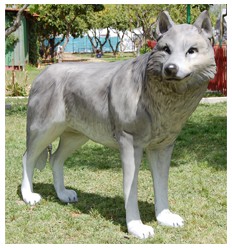 NUEVO LOBO