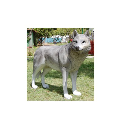 NUEVO LOBO