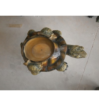 TORTUGA MECETERO GRANDE
