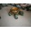 TORTUGA MACETERO PEQUEÑA