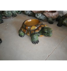 TORTUGA MACETERO PEQUEÑA