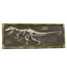 DINOSAUR T-REX SKELETON