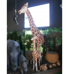 NEW GIRAFFE ADULT