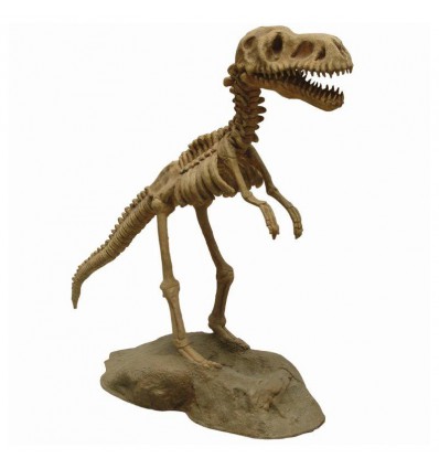 T-REX SKELETON - SMALL