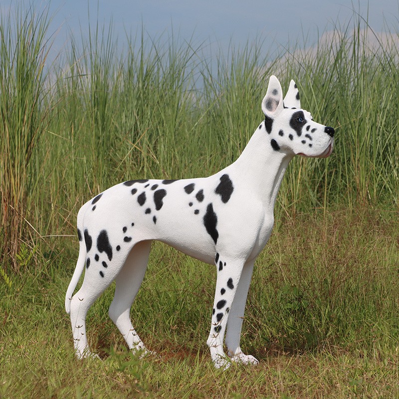 Animales Domesticos