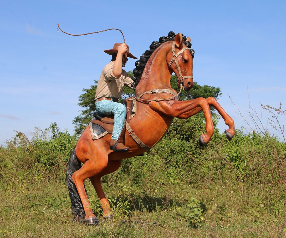 Salvaje oeste